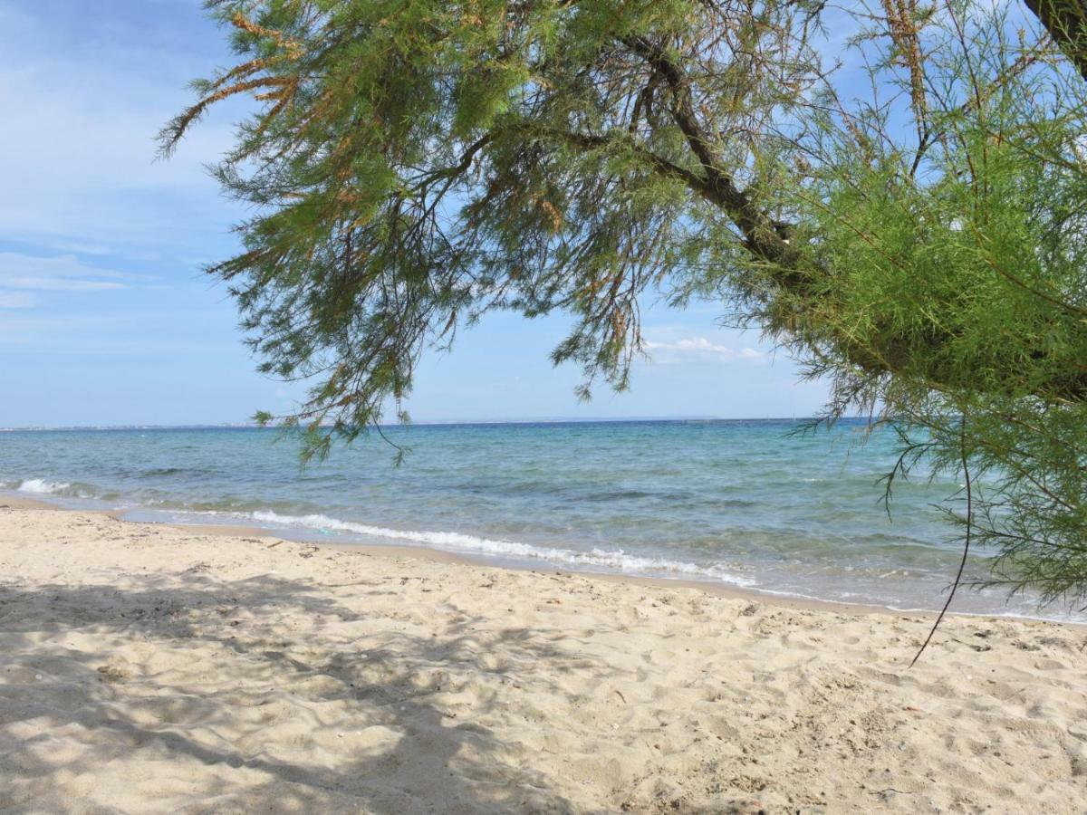 Fibes Luxury Living By Rentalspro Services - Mouries Halkidiki 帕拉利亚狄奥尼索 外观 照片